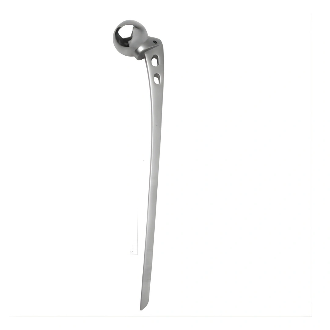 Austinmoore Hip Prosthesis Extra Long Stem